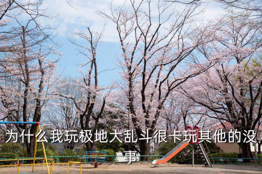 为什么我玩极地大乱斗很卡玩其他的没事