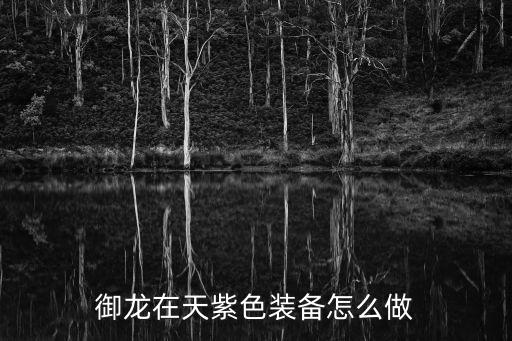 御龙在天紫色装备怎么做
