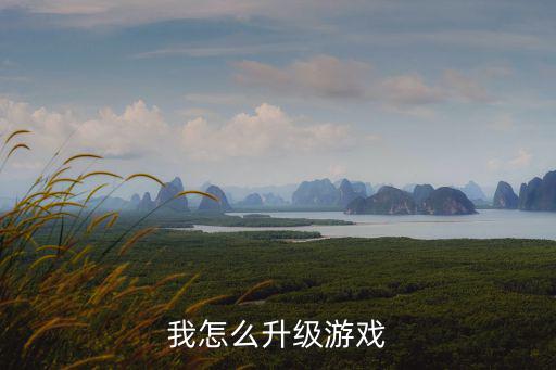 我怎么升级游戏