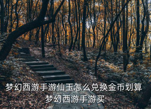 梦幻西游手游仙玉怎么兑换金币划算 梦幻西游手游买