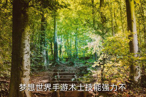 梦想世界手游术士技能强力不