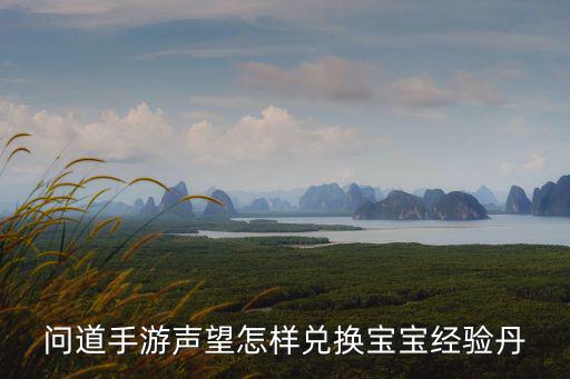 问道手游声望怎样兑换宝宝经验丹