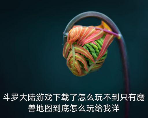 斗罗大陆游戏下载了怎么玩不到只有魔兽地图到底怎么玩给我详