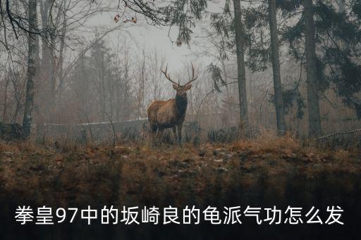 拳皇97手游气功怎么放，97手机拳皇简易版八神怎么放用气然后可以侧身抓人然后在手里爆的那