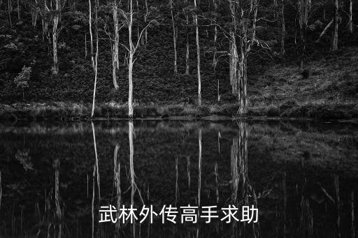 武林外传高手求助