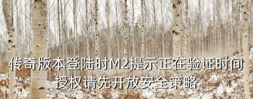 传奇版本登陆时M2提示正在验证时间授权请先开放安全策略