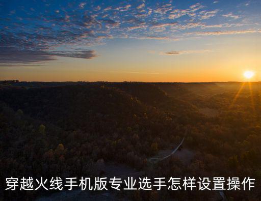 穿越火线手机版专业选手怎样设置操作