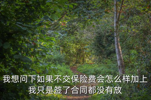 我想问下如果不交保险费会怎么样加上我只是签了合同都没有放