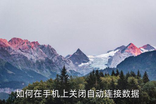 如何在手机上关闭自动连接数据