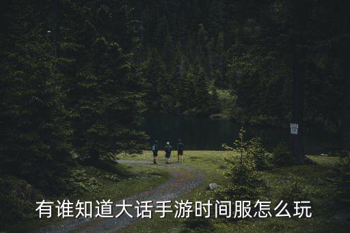 有谁知道大话手游时间服怎么玩