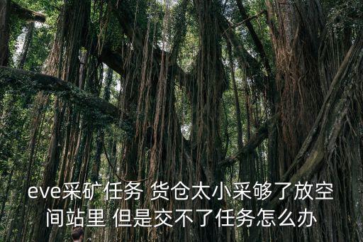 eve采矿任务 货仓太小采够了放空间站里 但是交不了任务怎么办