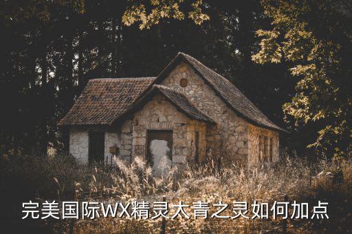 一梦江湖手游玄沙舵怎么样，完美国际WX精灵太青之灵如何加点