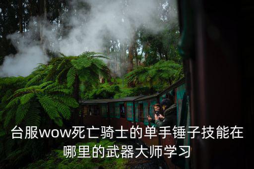 台服wow死亡骑士的单手锤子技能在哪里的武器大师学习