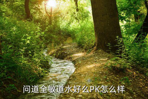 问道手游全敏水pk怎么样，问道全敏道水好么PK怎么样