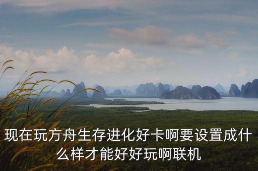 现在玩方舟生存进化好卡啊要设置成什么样才能好好玩啊联机