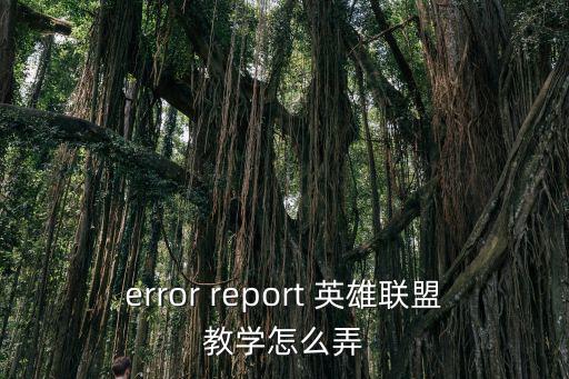 error report 英雄联盟教学怎么弄