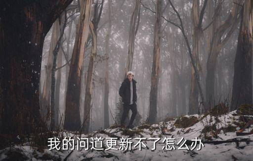 我的问道更新不了怎么办