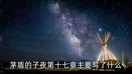 茅盾的子夜第十七章主要写了什么