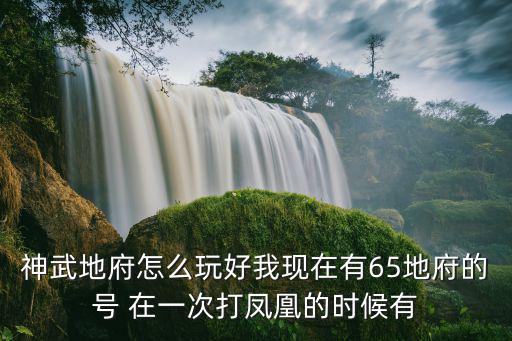 神武地府怎么玩好我现在有65地府的号 在一次打凤凰的时候有