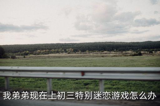 我弟弟现在上初三特别迷恋游戏怎么办