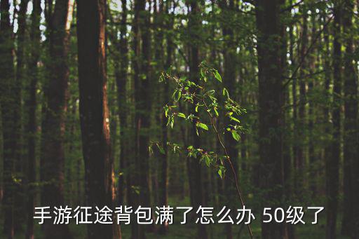 cf手游装饰背包多了怎么办，我背包满了怎么办东西也丢不了有玩蜀门手游的人知道怎么弄吗