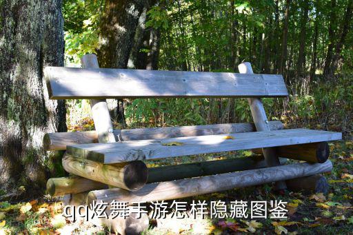 炫舞手游怎么隐藏地址位置，怎么隐藏地址