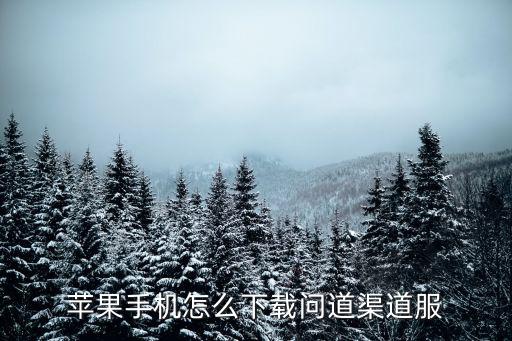 怎么下载台服lol手游苹果手机，苹果手机怎么下载问道渠道服