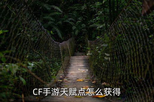 CF手游天赋点怎么获得