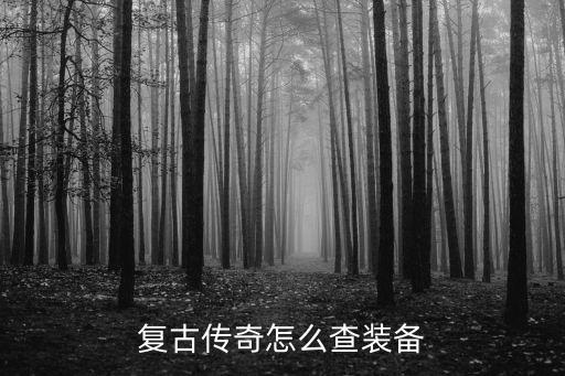 复古传奇怎么查装备