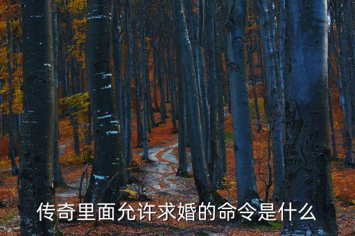 传奇里面允许求婚的命令是什么