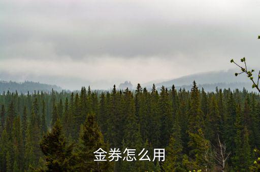 金券怎么用