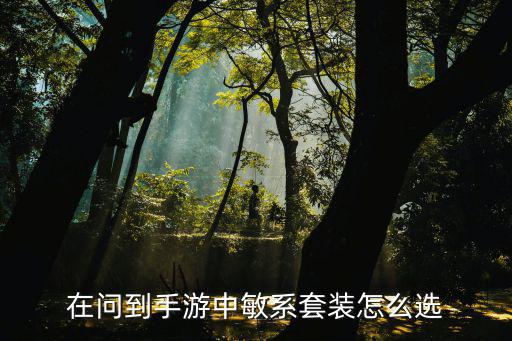 在问到手游中敏系套装怎么选