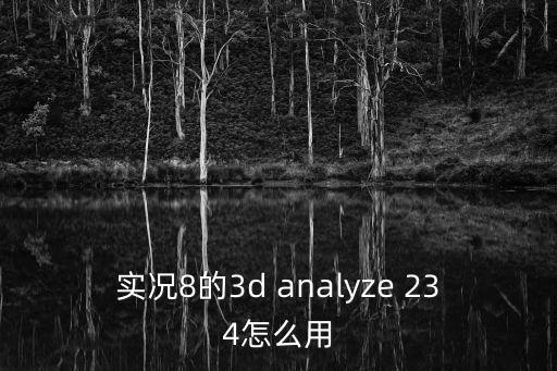 实况8的3d analyze 234怎么用