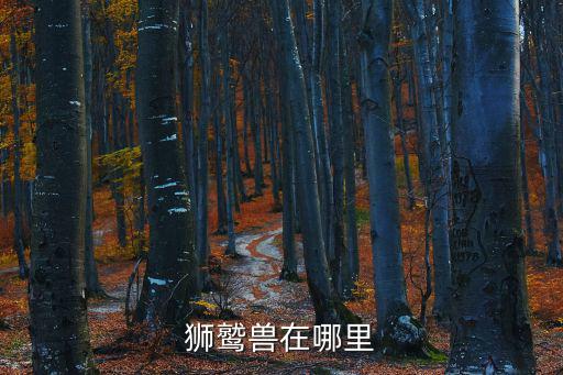 狮鹫兽在哪里