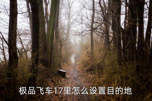 极品飞车17里怎么设置目的地