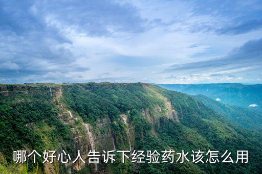 哪个好心人告诉下经验药水该怎么用