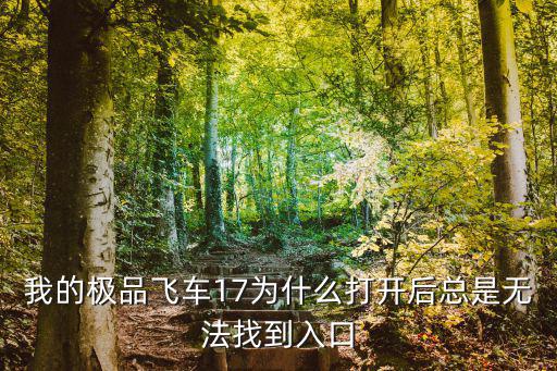 我的极品飞车17为什么打开后总是无法找到入口