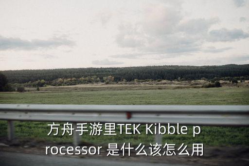 方舟手游食物保存箱怎么用，方舟手游里TEK Kibble processor 是什么该怎么用