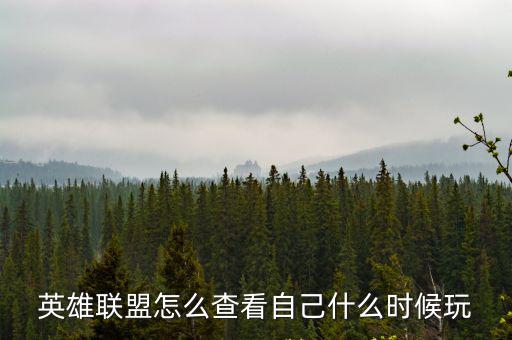 英雄联盟怎么查看自己什么时候玩