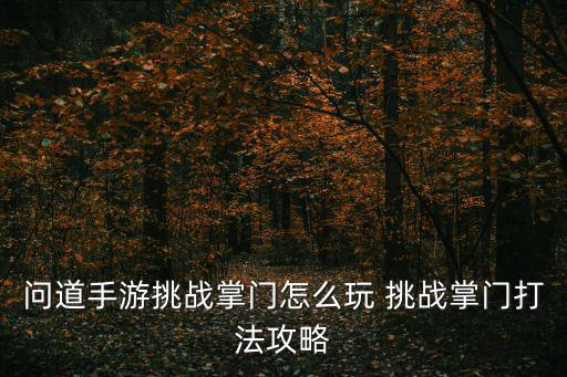 问道手游挑战掌门怎么玩 挑战掌门打法攻略