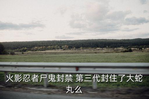 火影忍者尸鬼封禁 第三代封住了大蛇丸么