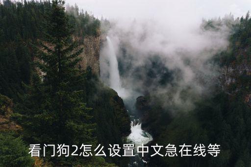 看门狗2怎么设置中文急在线等