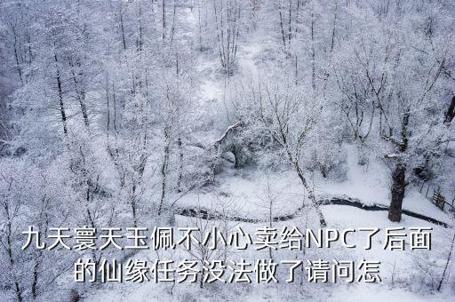 龙纪元手游玉佩怎么搞，九天寰天玉佩不小心卖给NPC了后面的仙缘任务没法做了请问怎