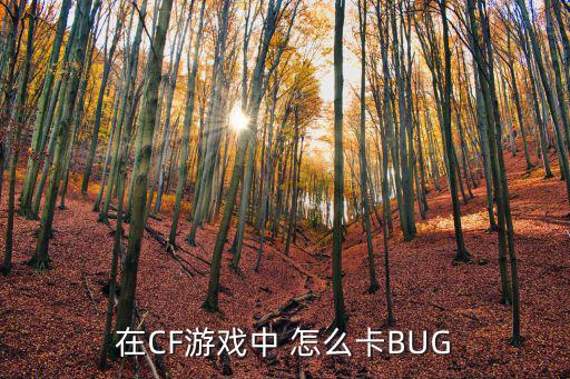 怎么卡cf手游的希望之塔，在CF游戏中 怎么卡BUG