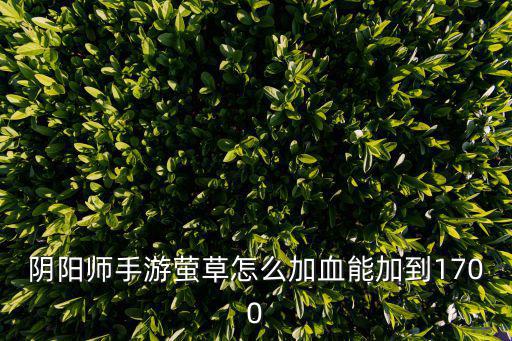 阴阳师手游萤草怎么加血能加到1700