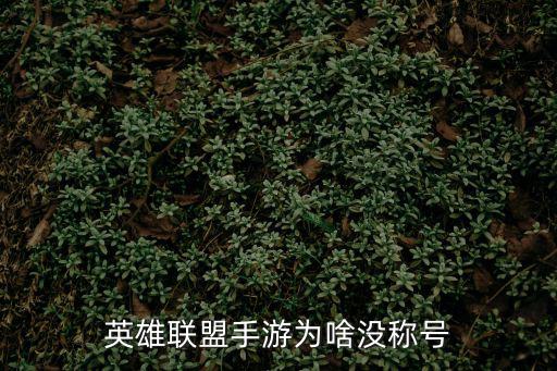 英雄联盟手游为啥没称号