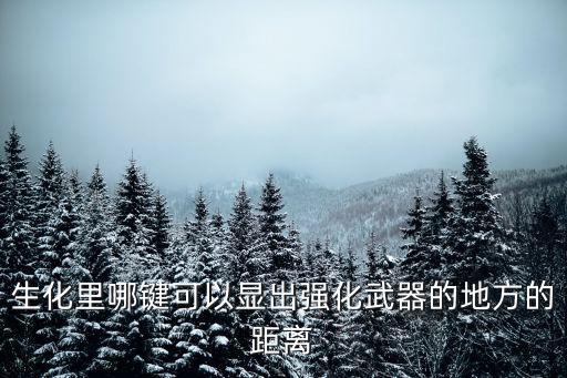 生化里哪键可以显出强化武器的地方的距离