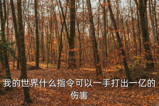 指令召唤手游怎么样能打出高伤害，我的世界什么指令可以一手打出一亿的伤害