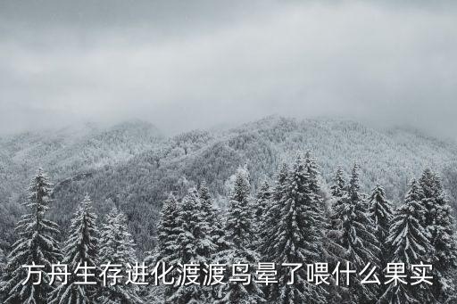 方舟生存进化渡渡鸟晕了喂什么果实