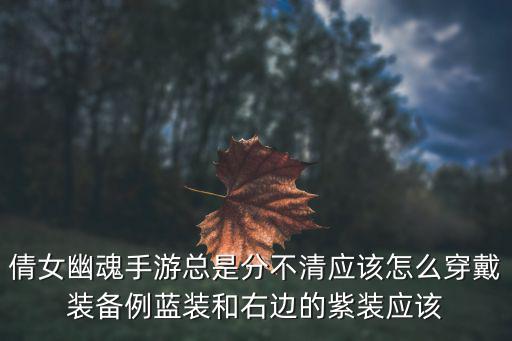 倩女幽魂手游总是分不清应该怎么穿戴装备例蓝装和右边的紫装应该